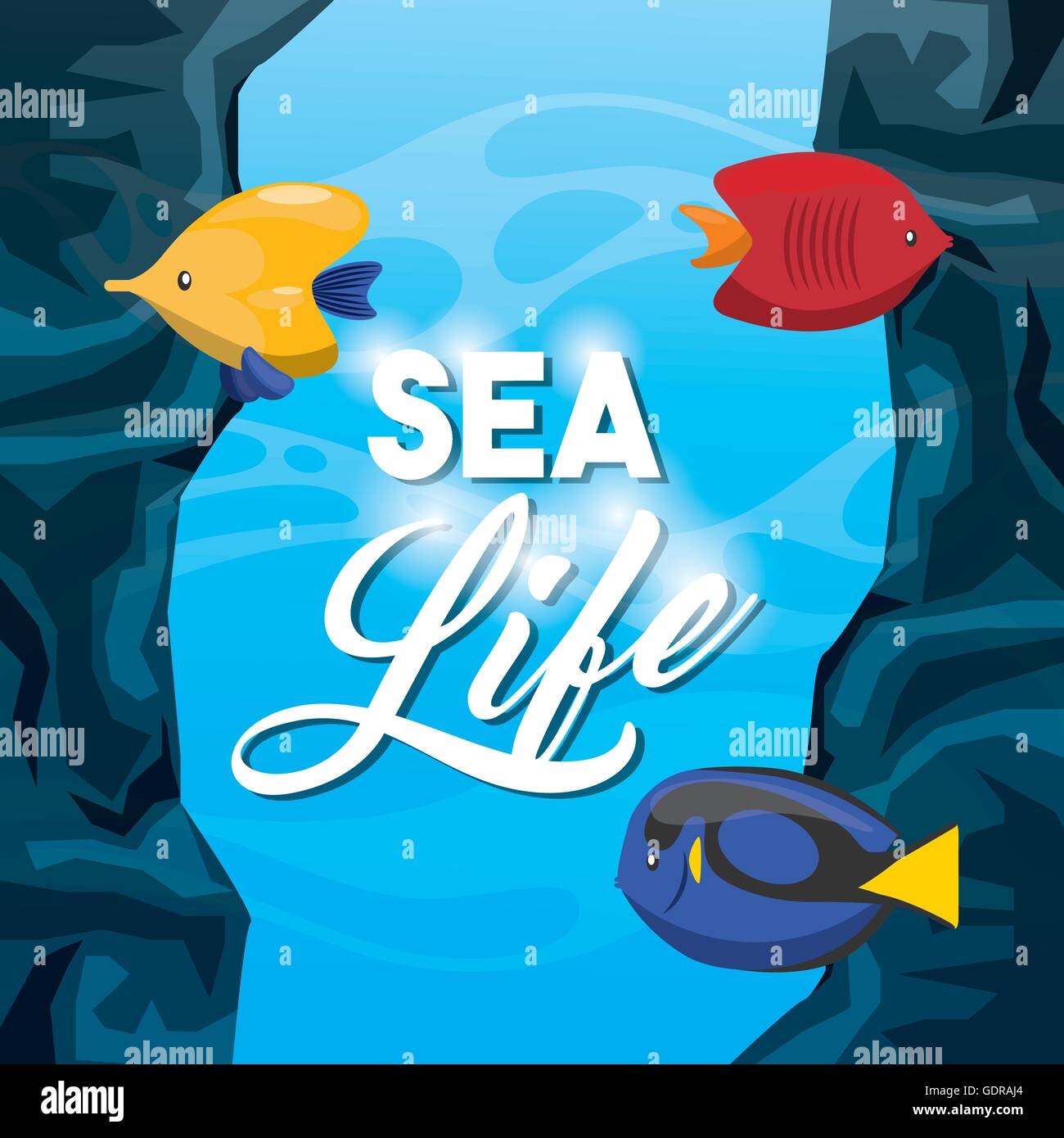 fish icon. Sea life design. Vector graphic Stock Vector Image & Art - Alamy