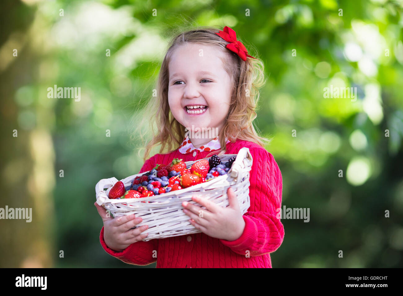 Kids picking cherry on fruit farm. Children pick cherries in summer