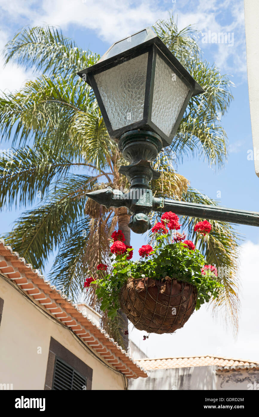 European street lamp hanging basket hires stock photography and images