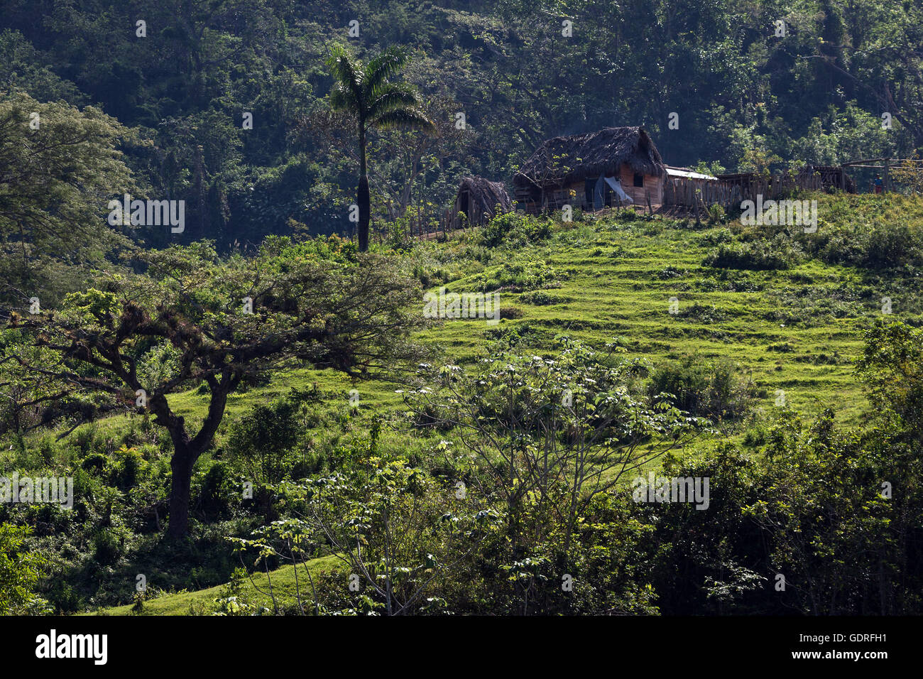 Los banos hi-res stock photography and images - Page 2 - Alamy