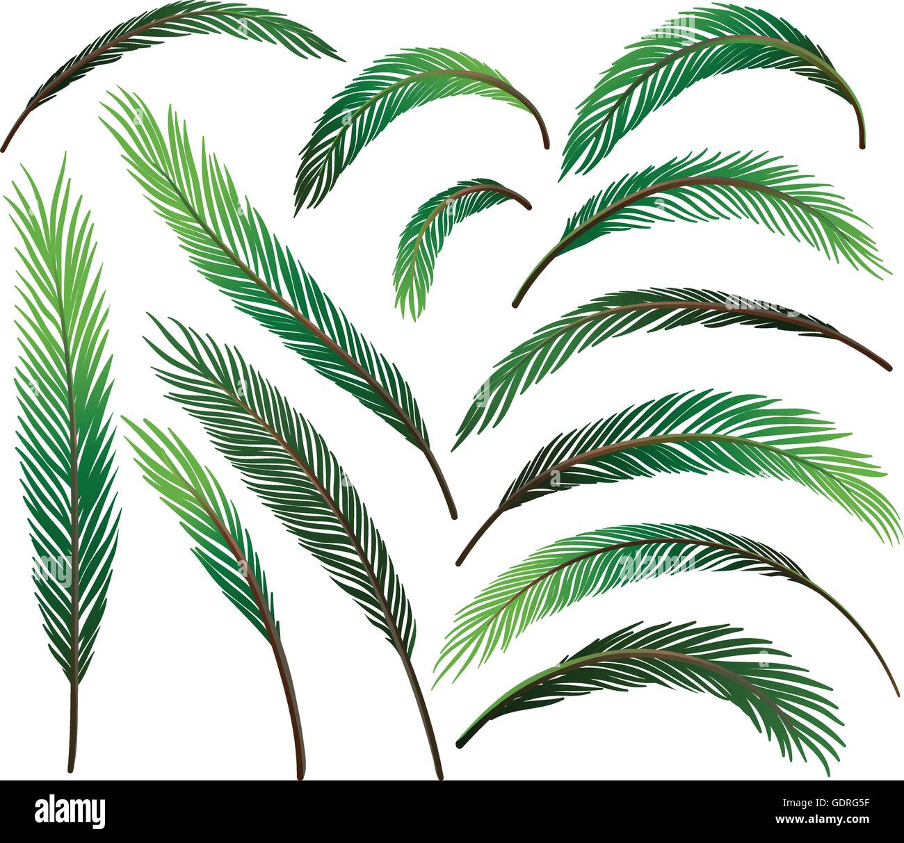 Set of green leaves illustration Stock Vector Image & Art - Alamy