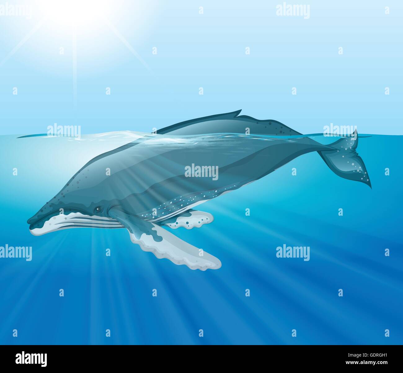 Giant whale swimming in the ocean illustration Stock Vector Image & Art ...