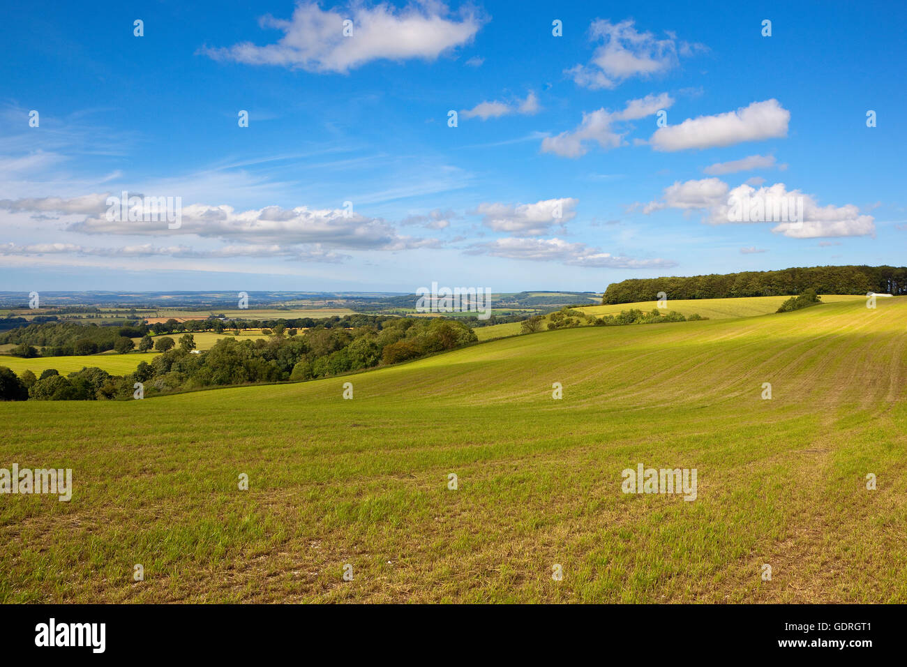 A hillside hay field with views over the scenic Yorkshire wolds under a blue cloudy sky in summertime. Stock Photo