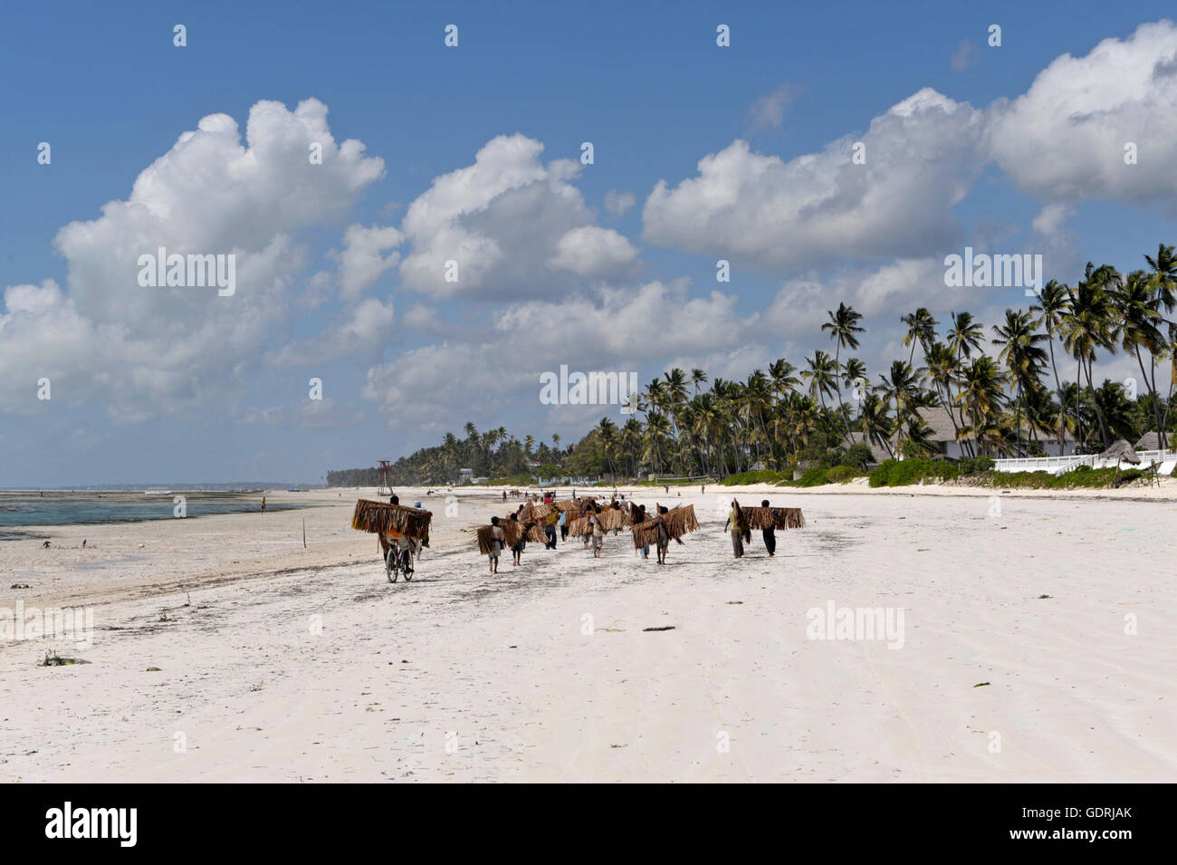 geography / travel, Tanzania, Zanzibar, East coast, Bwejuu, Additional-Rights-Clearance-Info-Not-Available Stock Photo