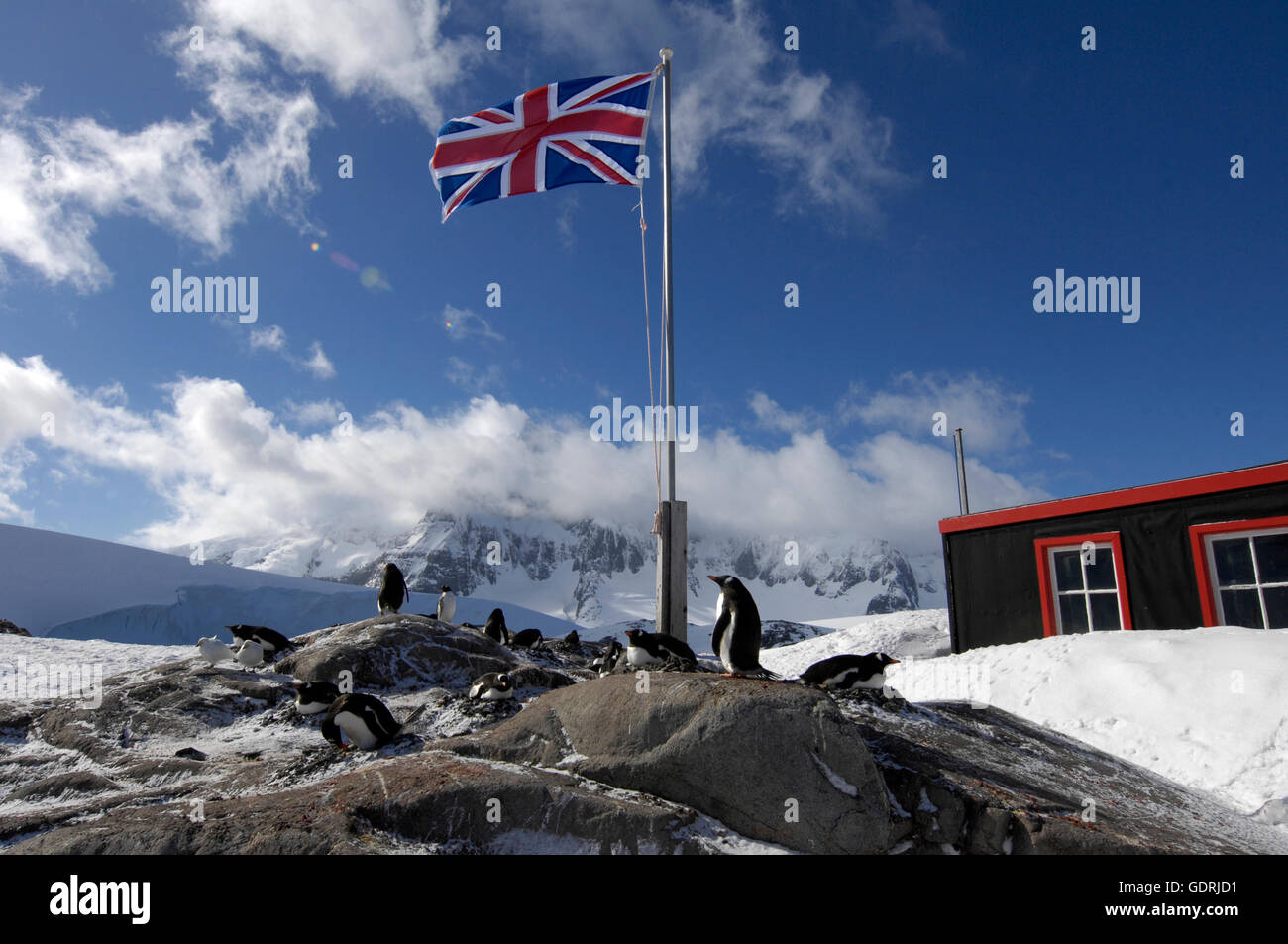 British antarctic territory hi-res stock photography and images - Alamy