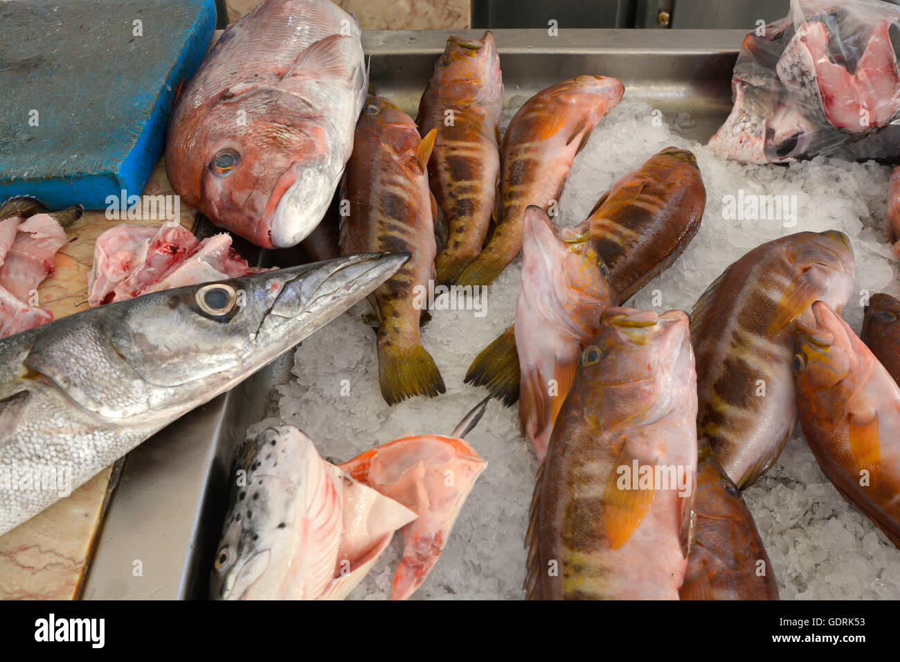 A variety of different fish for sale at the inddor fish market in Funchal, Madeira, Portugal Stock Photo