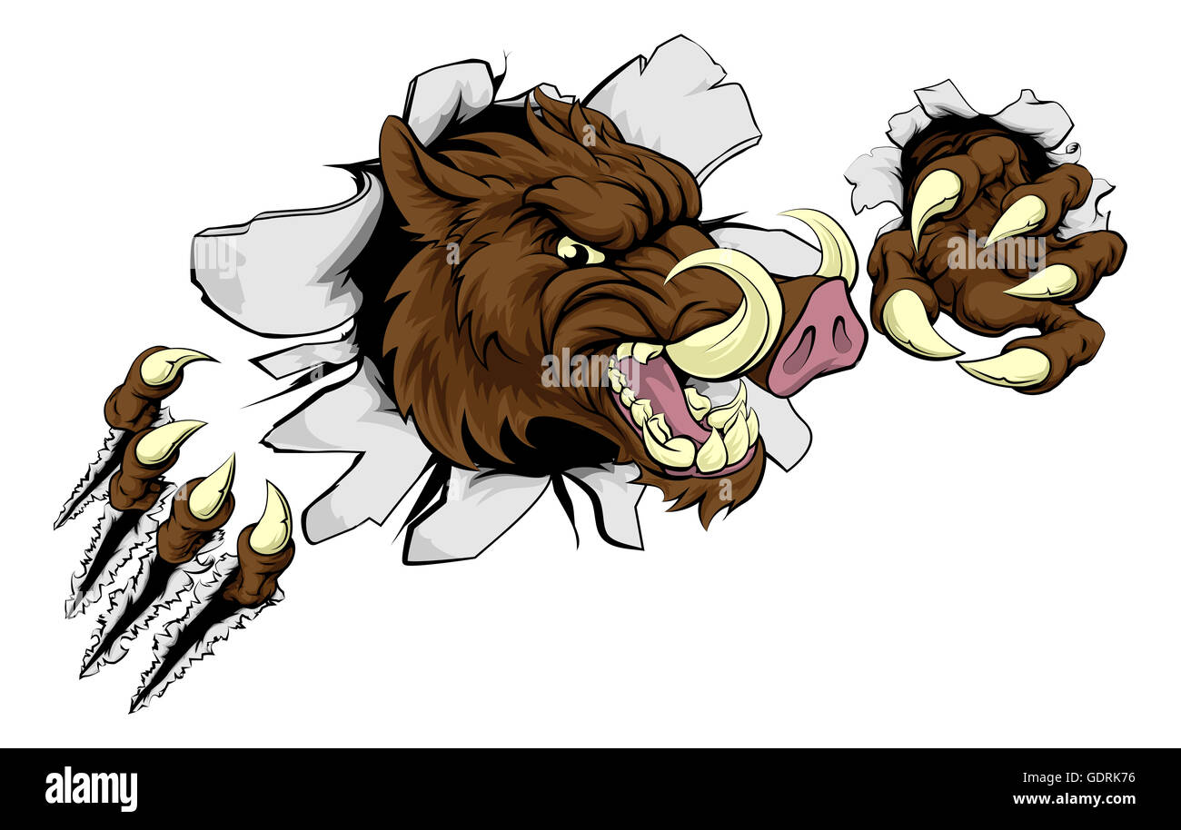 Defeated Razorback Cartoon A wild boar or razorback warthog cartoon sport mascot tearing through a ...