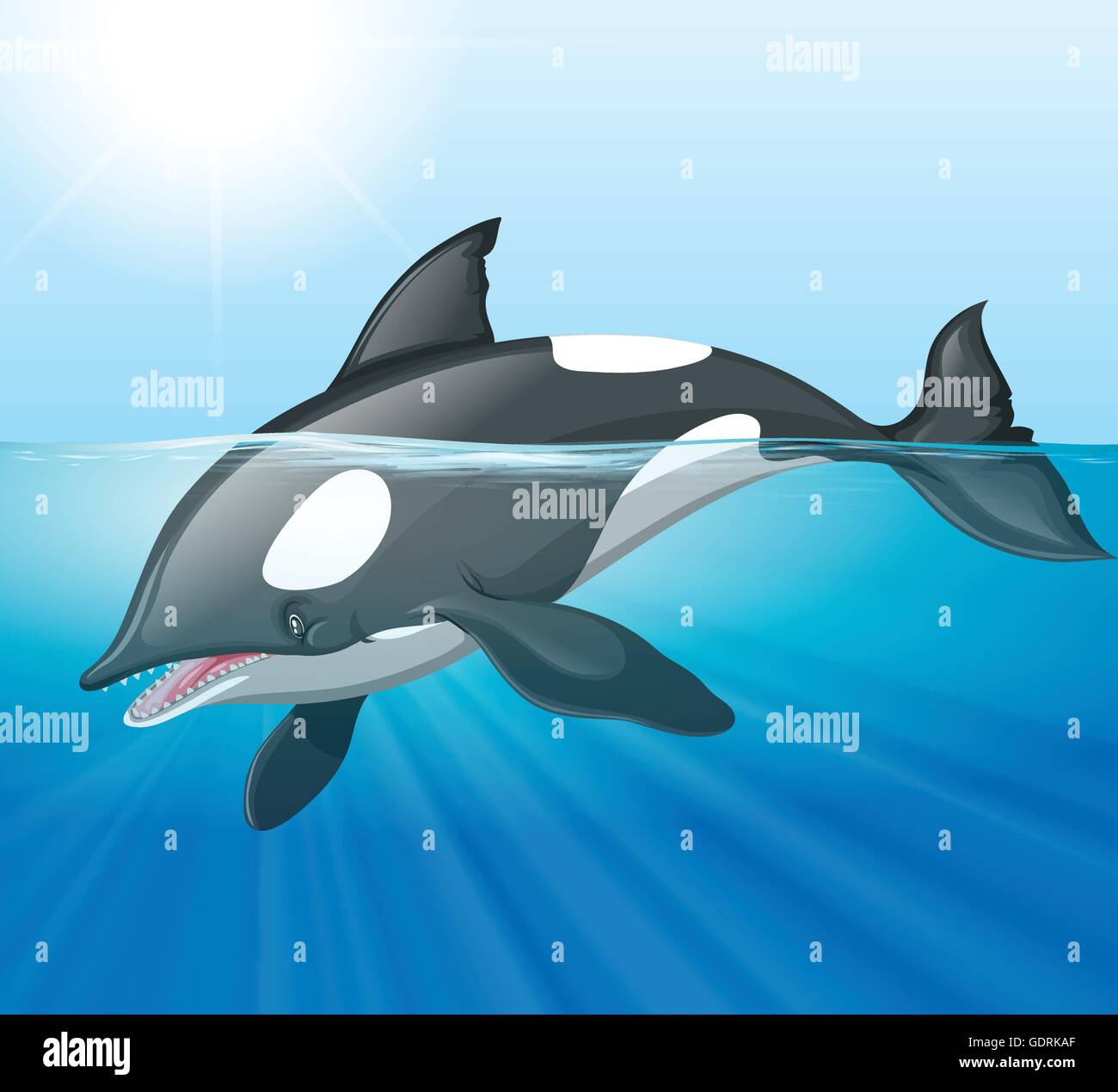 Orca Drawing Stock Photos & Orca Drawing Stock Images - Alamy