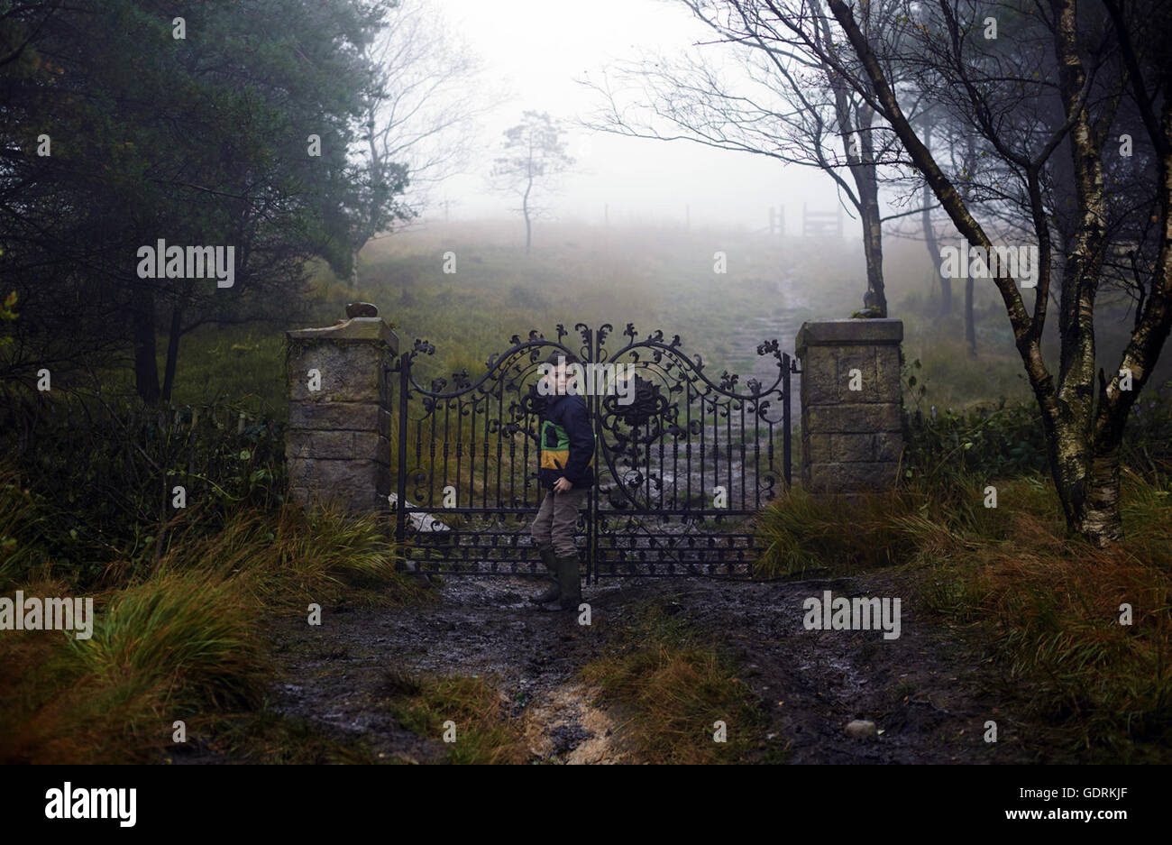 A Monster Calls is an upcoming 2016 Spanish-British fantasy drama film ...