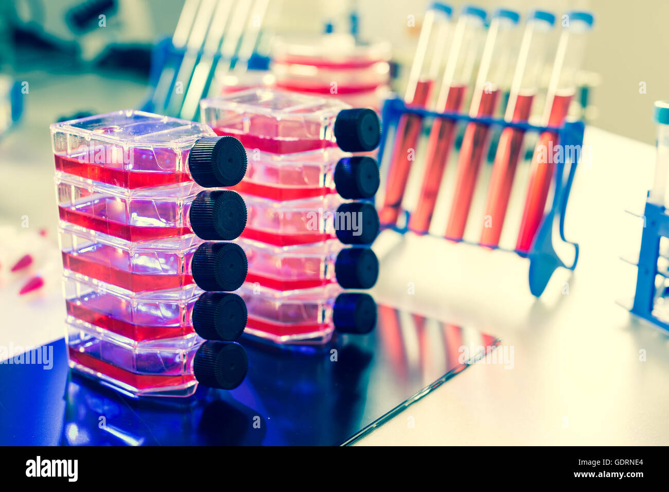 Blood culture procedure tray hires stock photography and images Alamy