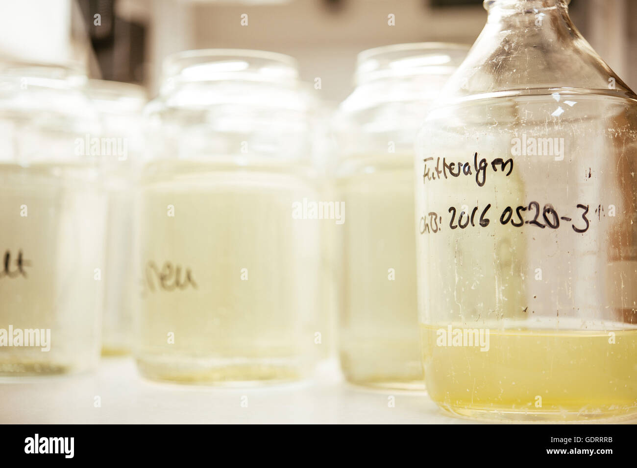Picture taken in a laboratory for analysis, ecotoxicology, chemisty and biology in Kirrweiler, Rhineland-Palatinate, Germany on June 21st, 2106. | usage worldwide Stock Photo
