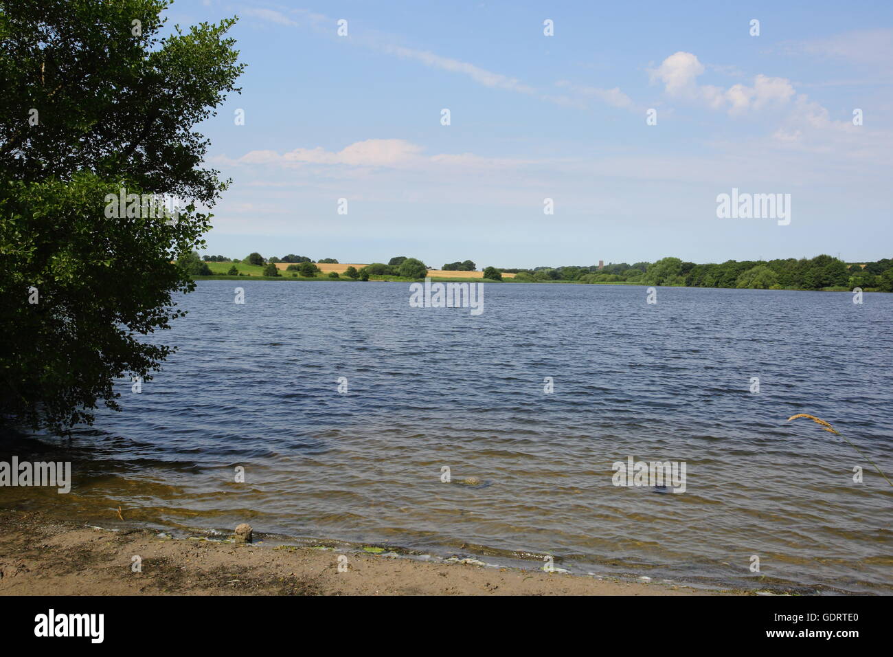 Pickmere, Cheshire, UK. 20th July, 2016. Hot weather, sunshine and high temperatures continue in Cheshire around Pickmere, a small village and lake in Cheshire. Credit:  Simon Newbury/Alamy Live News Stock Photo