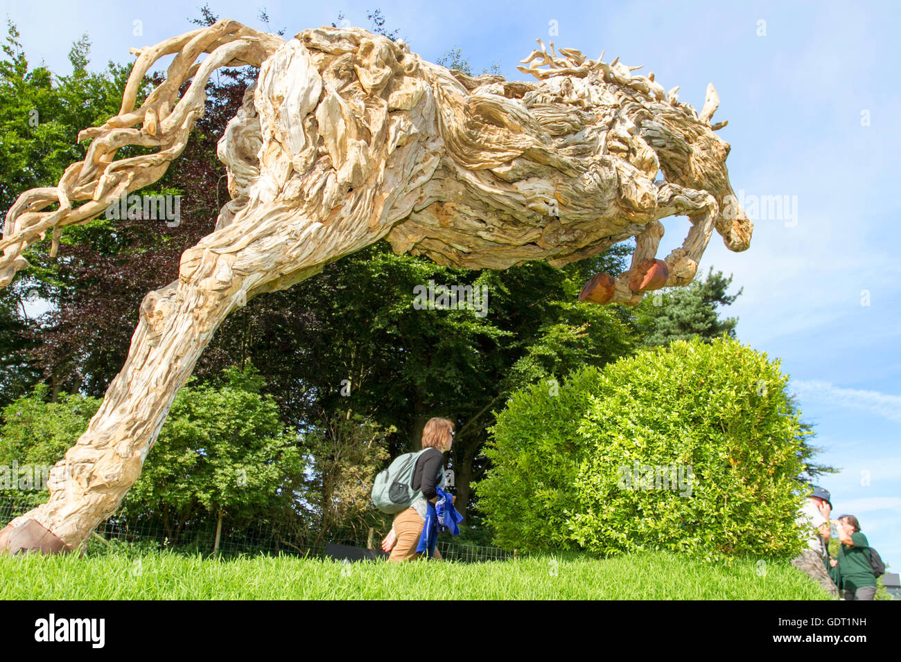 Knutsford, UK. 21st July, 2016. UK Weather RHS Tatton Park Flower Show