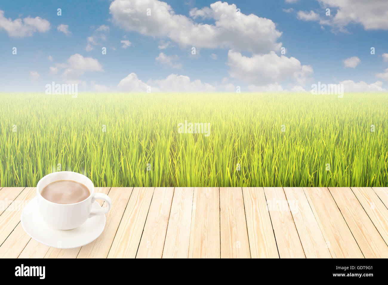 Coffee cup with wood texture on green rice field Stock Photo - Alamy