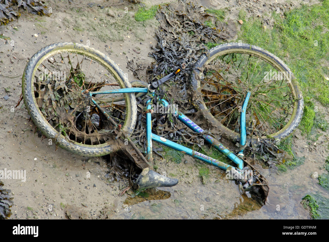 Bicycle, Sea Weed, Mud, Sea Shore, Low Tide, Portsmouth, Hampshire, England. Stock Photo