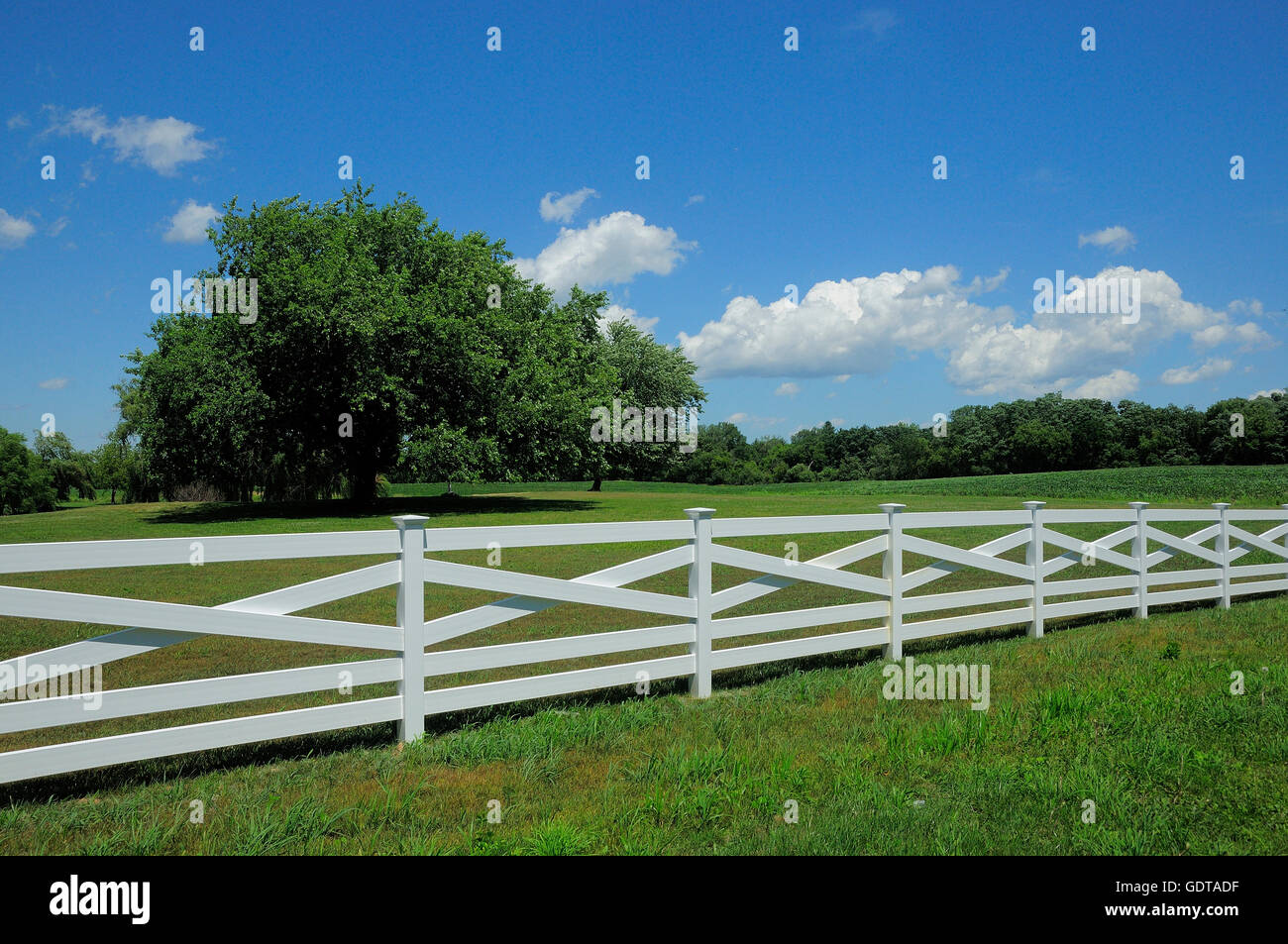 New fence line along pasture. Stock Photo