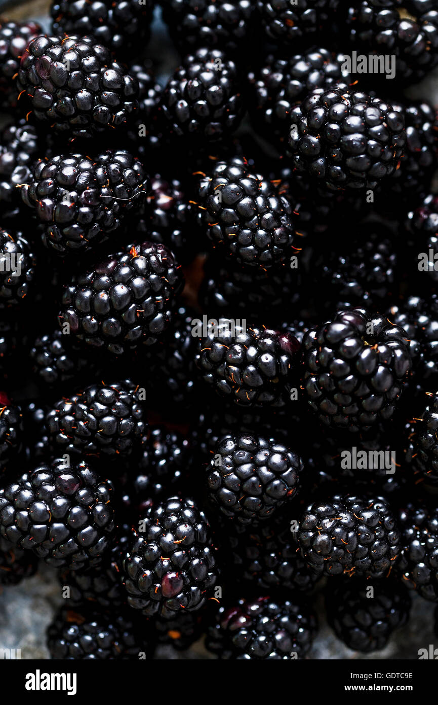Fresh Blackberries close up Stock Photo