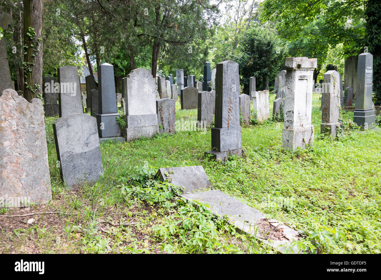 Graves on Jewish section of Central Cemetery in Vienna, Austria Stock