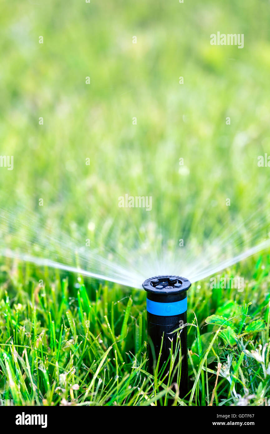 Lawn Sprinkler Head Spraying Water