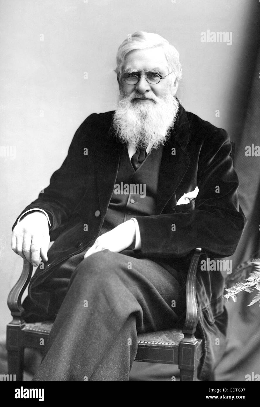 ALFRED RUSSELL WALLACE (1823-1913) English naturalist and anthropologist in 1895 Stock Photo