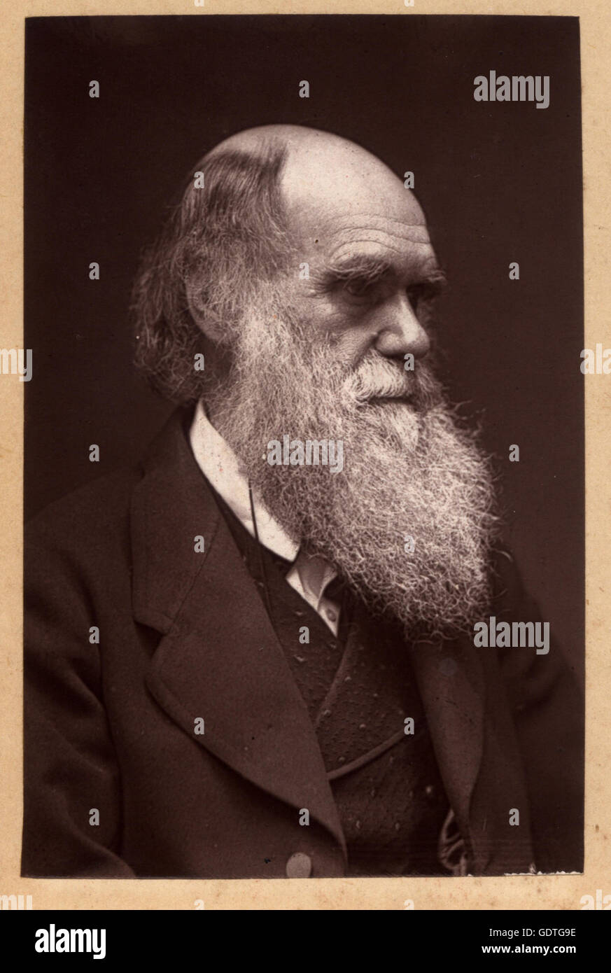 CHARLES DARWIN (1809-1882) English naturalist in 1874 Stock Photo