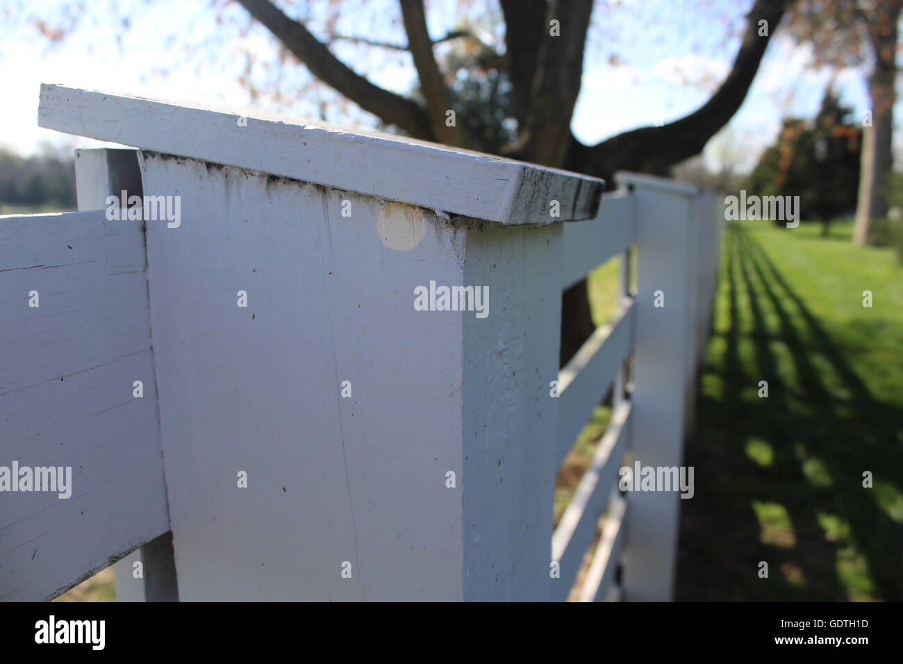 Close up of fence with sun glare. Stock Photo