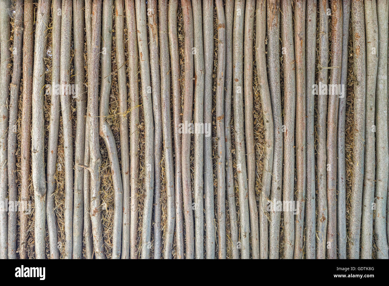 Branch fence hi-res stock photography and images - Alamy