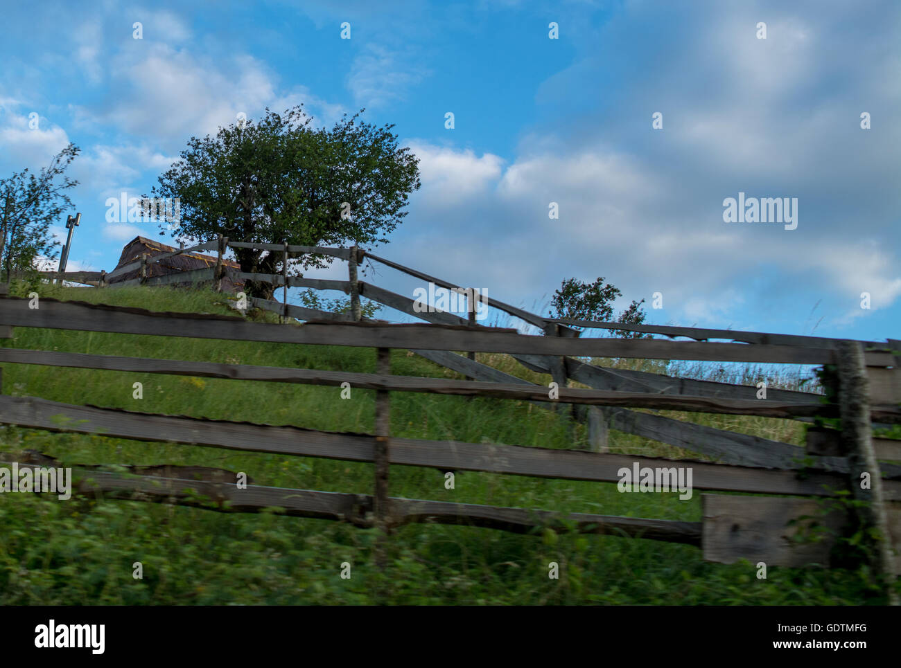 Lonely tree beautiful sunset hi-res stock photography and images - Alamy