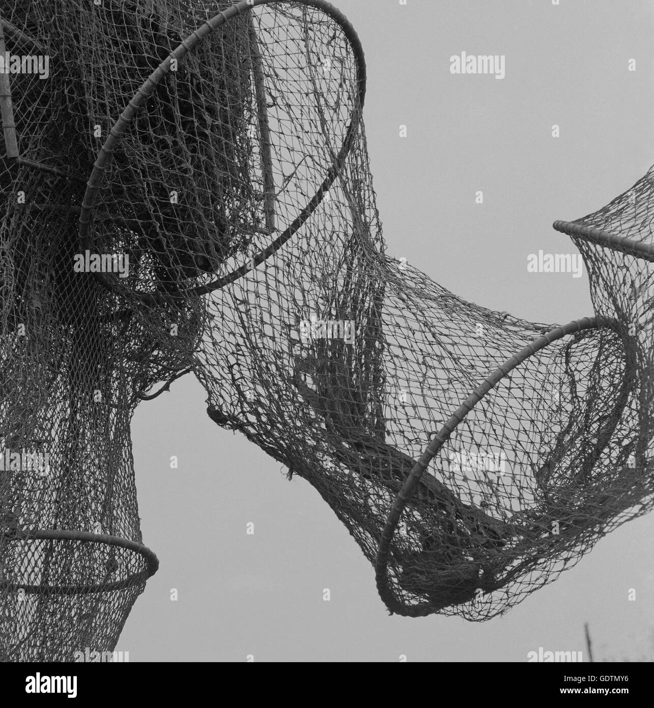 Fishnet Black and White Stock Photos & Images - Alamy