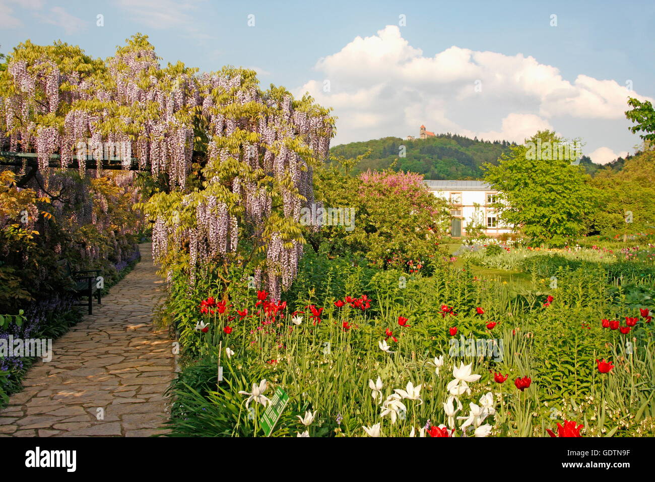 Geography Travel Germany Baden Wuerttemberg Weinheim Stock