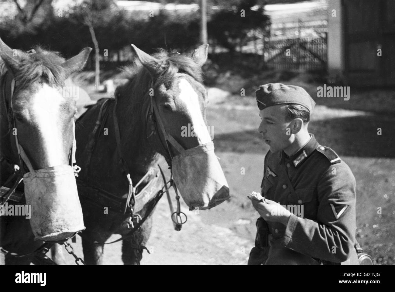 German soldier in russia hi-res stock photography and images - Alamy