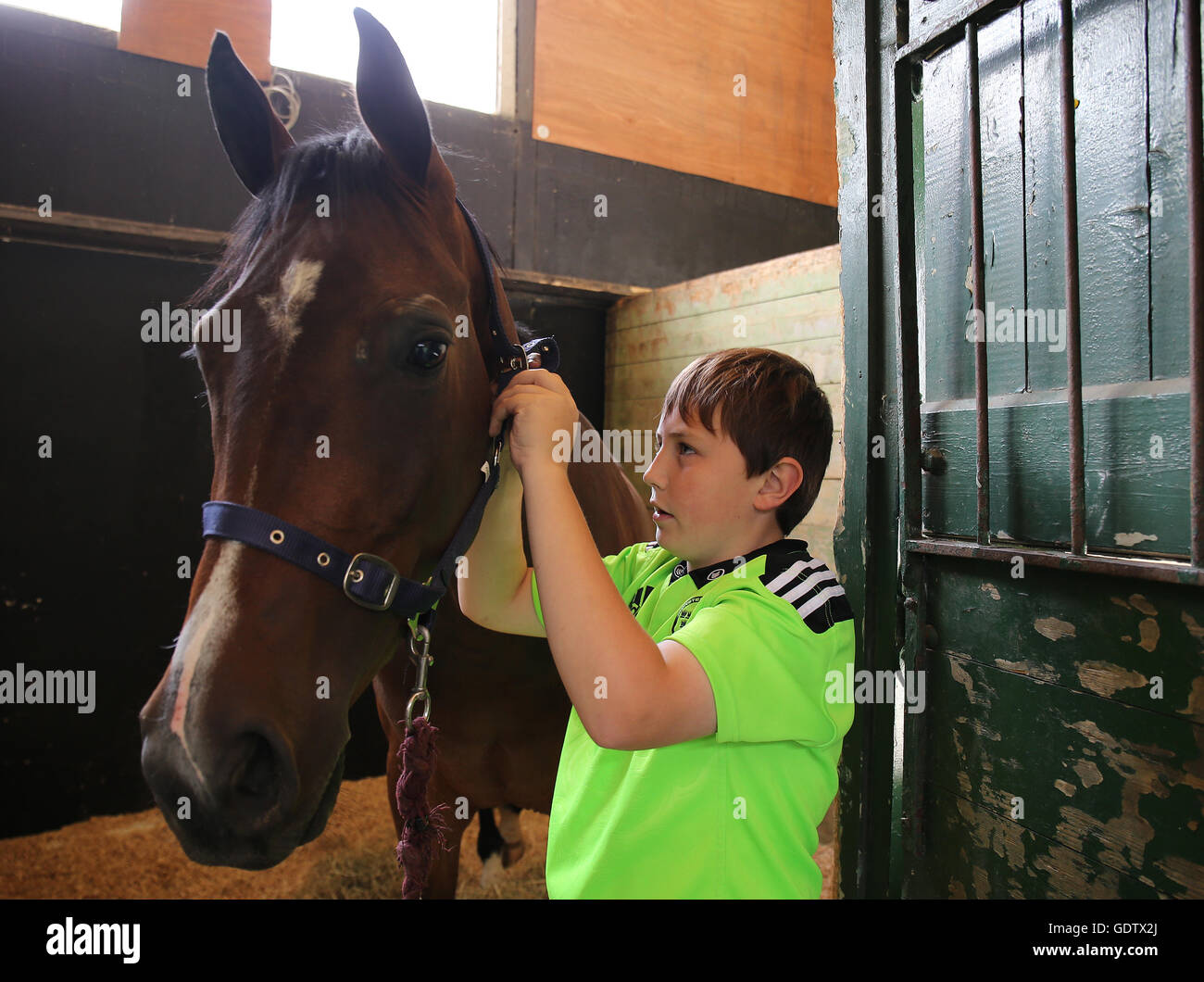 Jack Meere from Cork with his horse Wondering Thoughts during day one of the Dublin Horse Show at the RDS, Dublin today. Stock Photo