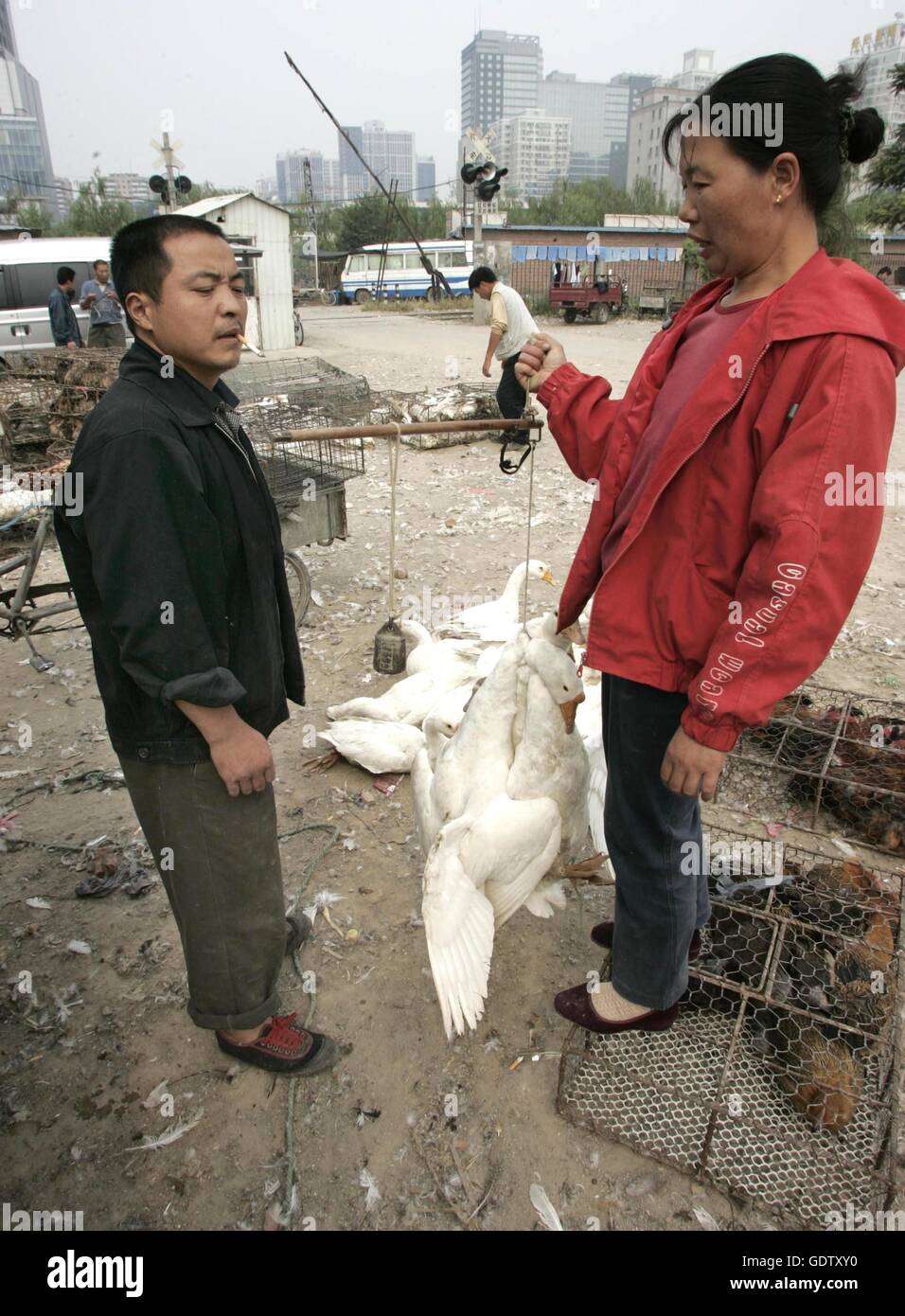 A poultry market hires stock photography and images Alamy