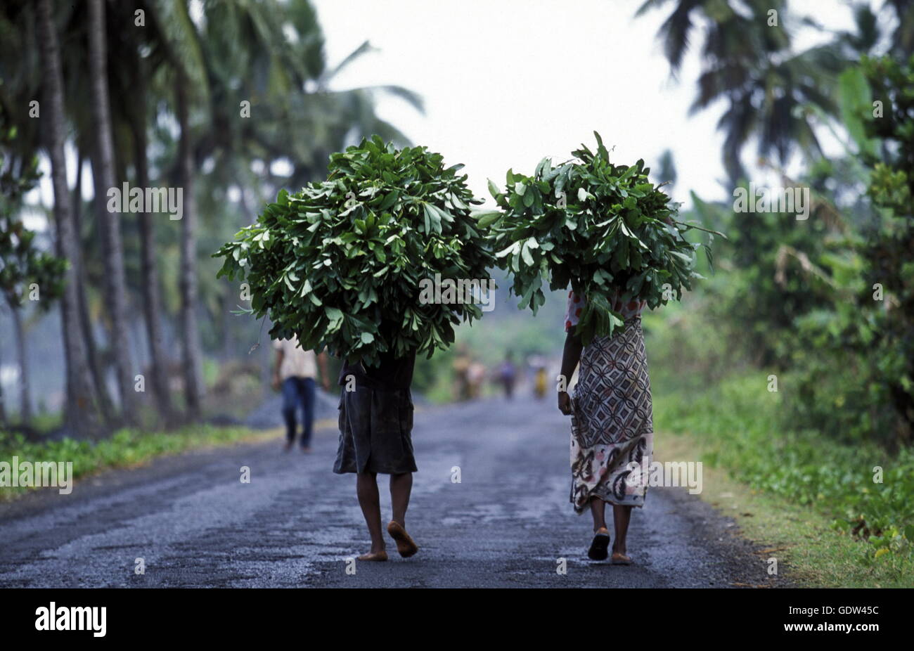 farmers in a village on the Island of Anjouan on the Comoros Ilands in the Indian Ocean in Africa. Stock Photo