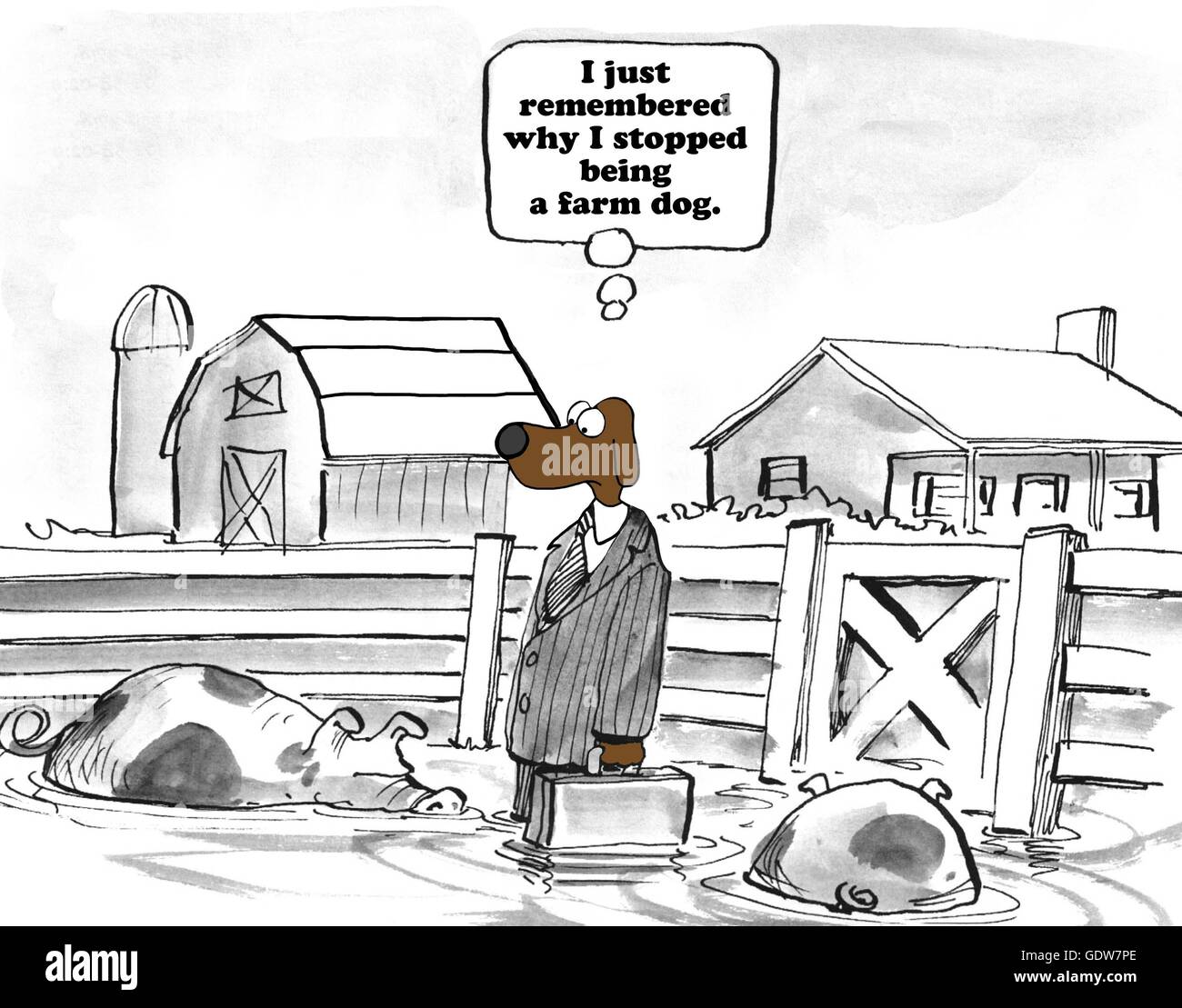 Suspension And Resumption Criteria In Software Testing