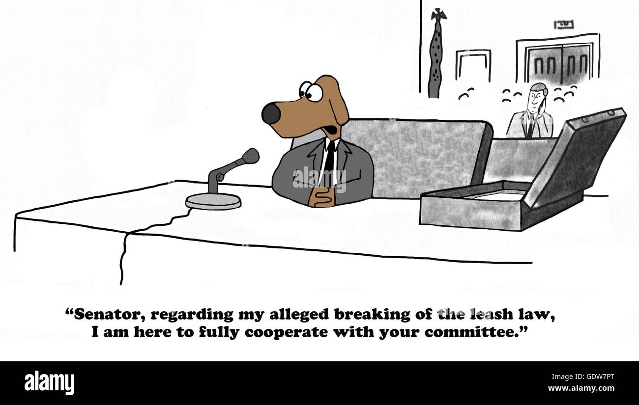 Cartoon about testifying before a Senate Committee about breaking the leash law. Stock Photo