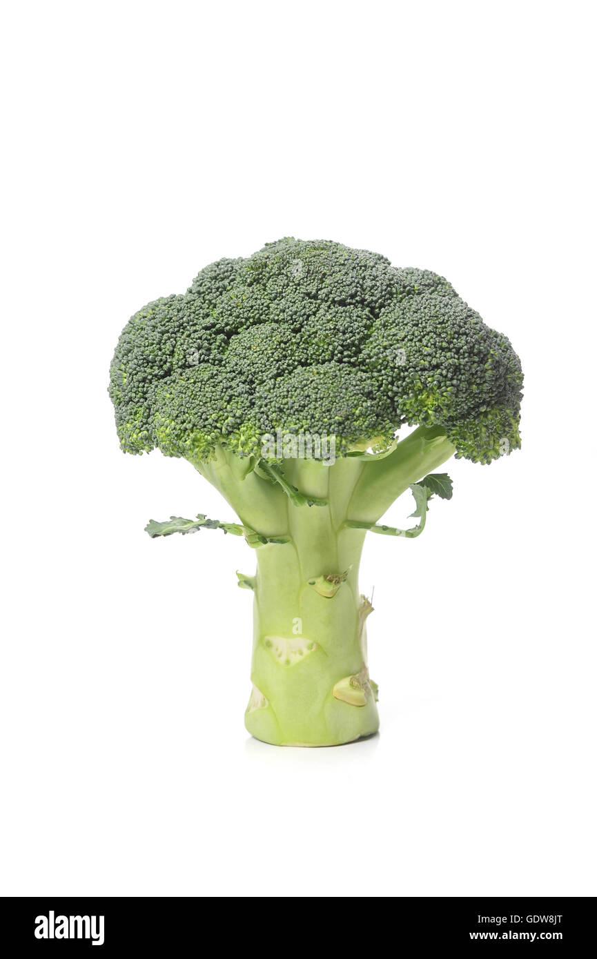 Fresh raw broccoli hi-res stock photography and images - Alamy
