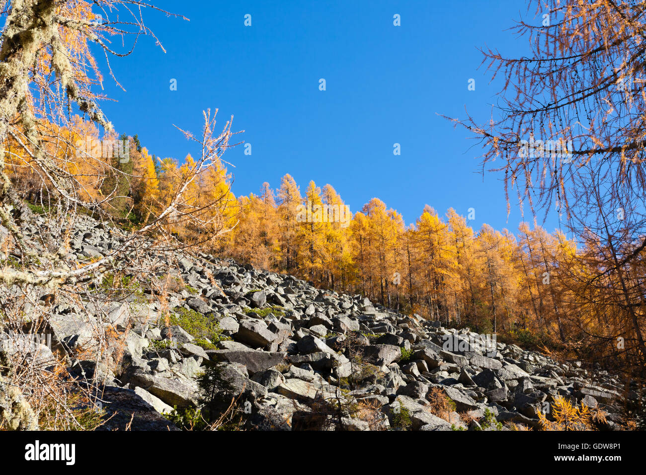 Autumn landscape from italian Alps. Yellow trees. Outdoor Stock Photo