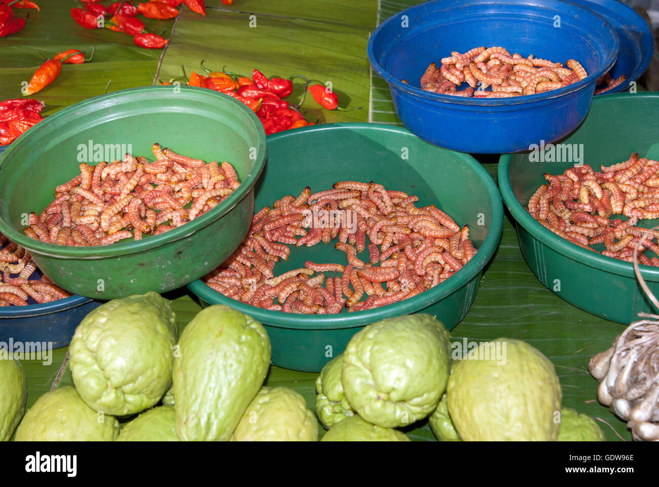 The image of Naga food worms in Kohima market, Nagaland, India Stock Photo