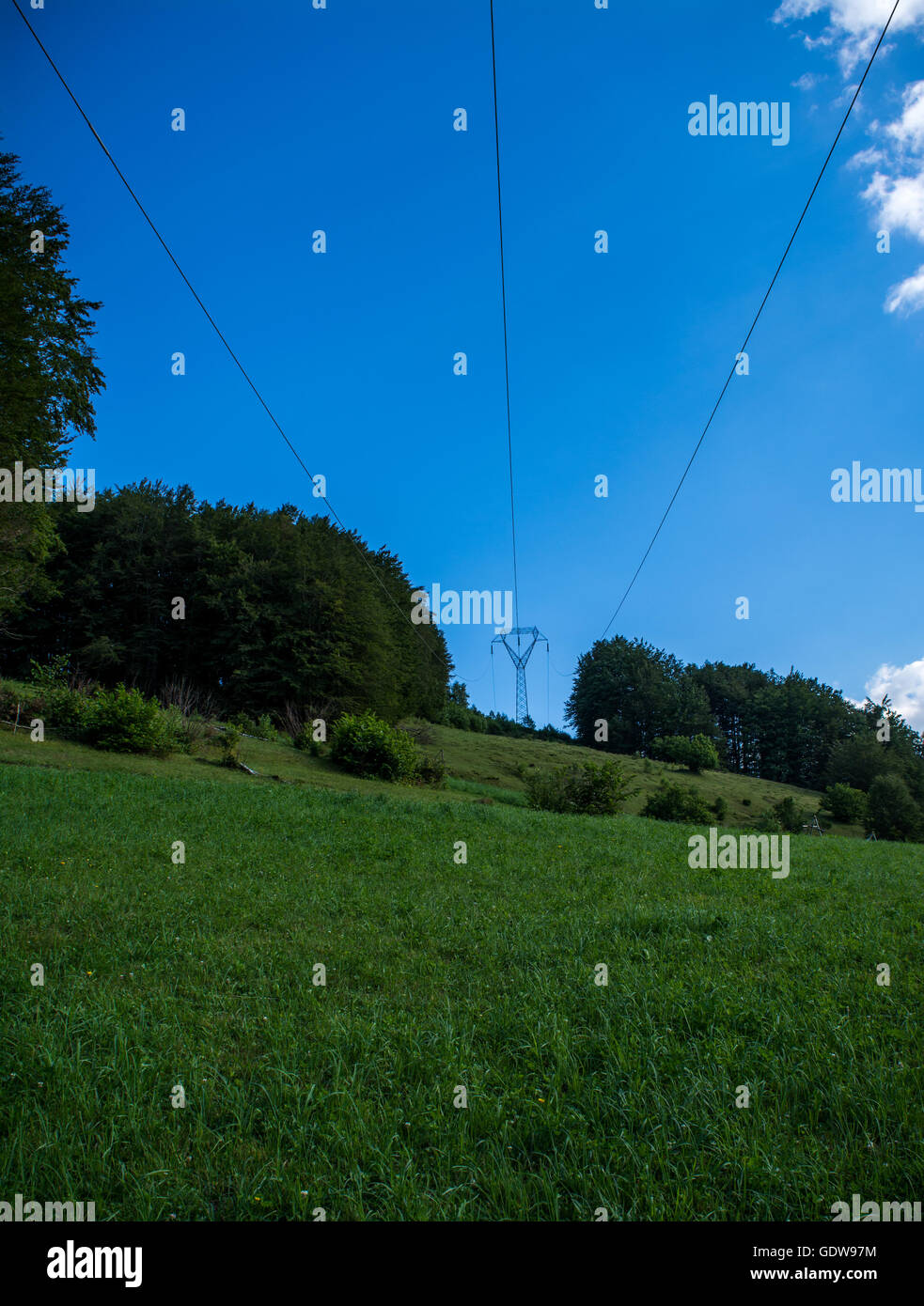 Power transmission line coming through forest Stock Photo - Alamy