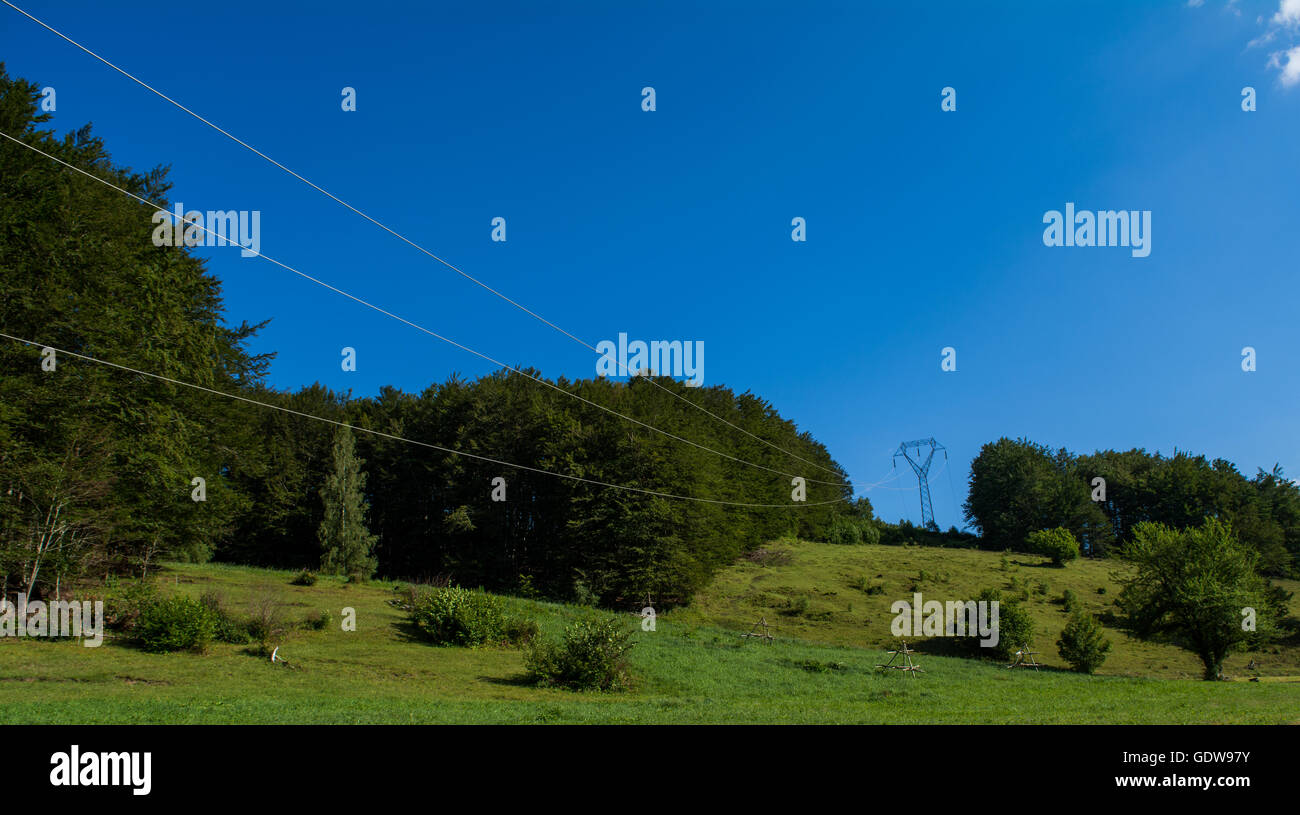 Power transmission line coming through forest Stock Photo - Alamy