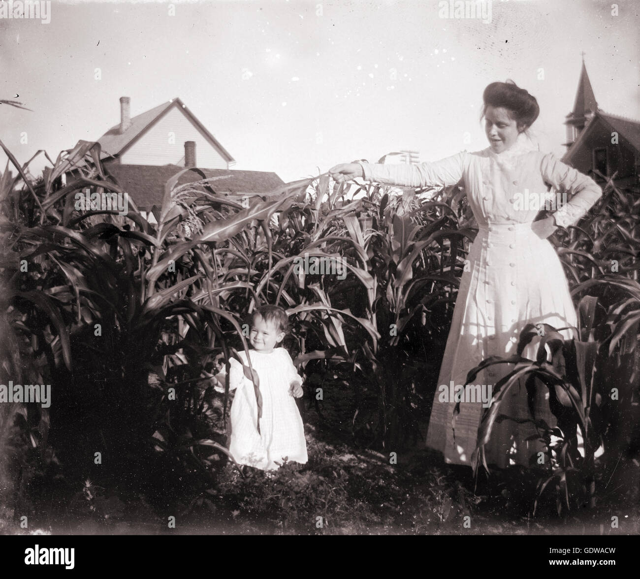 Antique c1900 late Victorian photograph, mother and daughter in a cornfield. Location: Michigan, USA. SOURCE: ORIGINAL PHOTOGRAPHIC NEGATIVE. Stock Photo