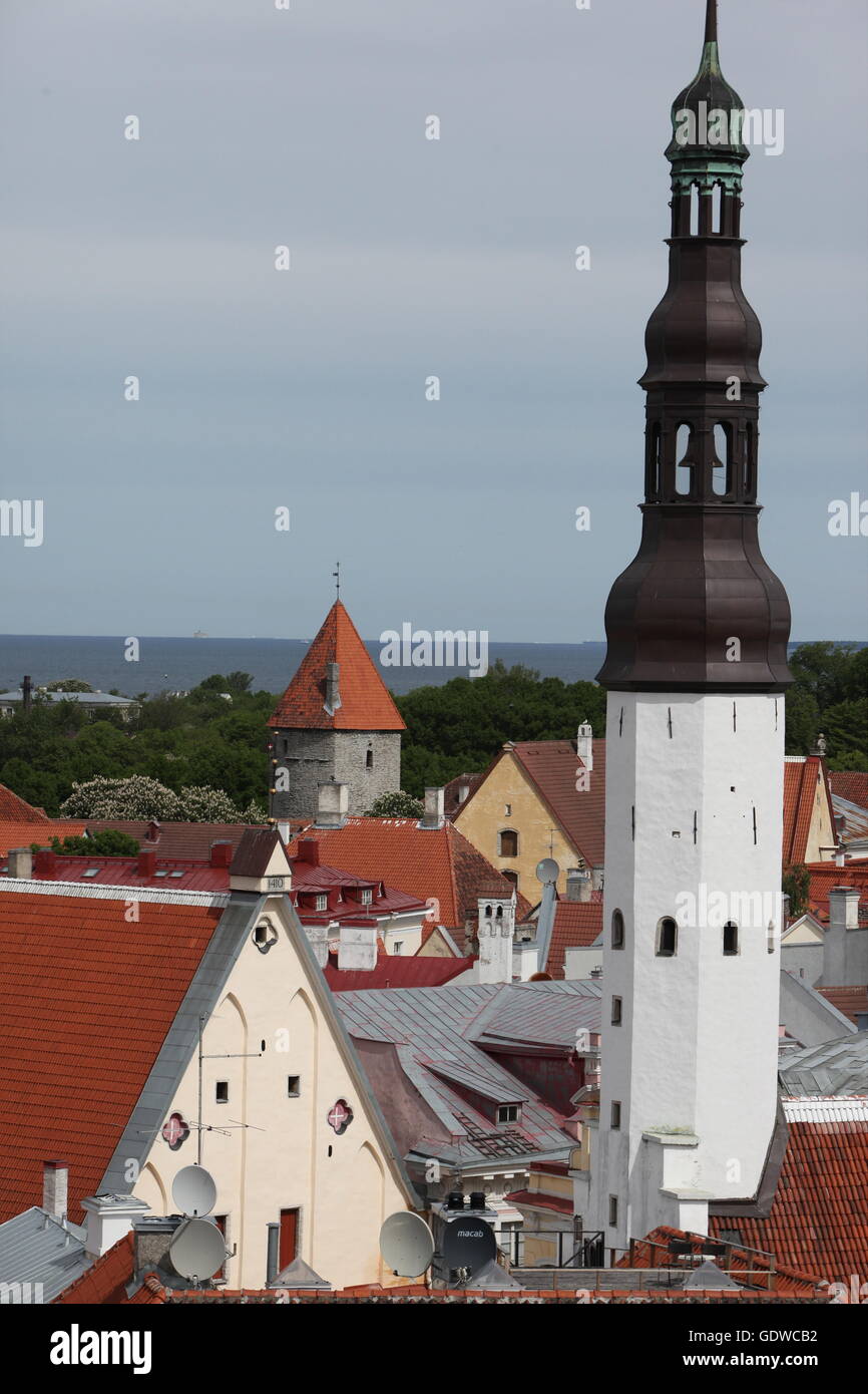 the old city of Tallinn in Estonia in the Baltic countrys in Europe. Stock Photo
