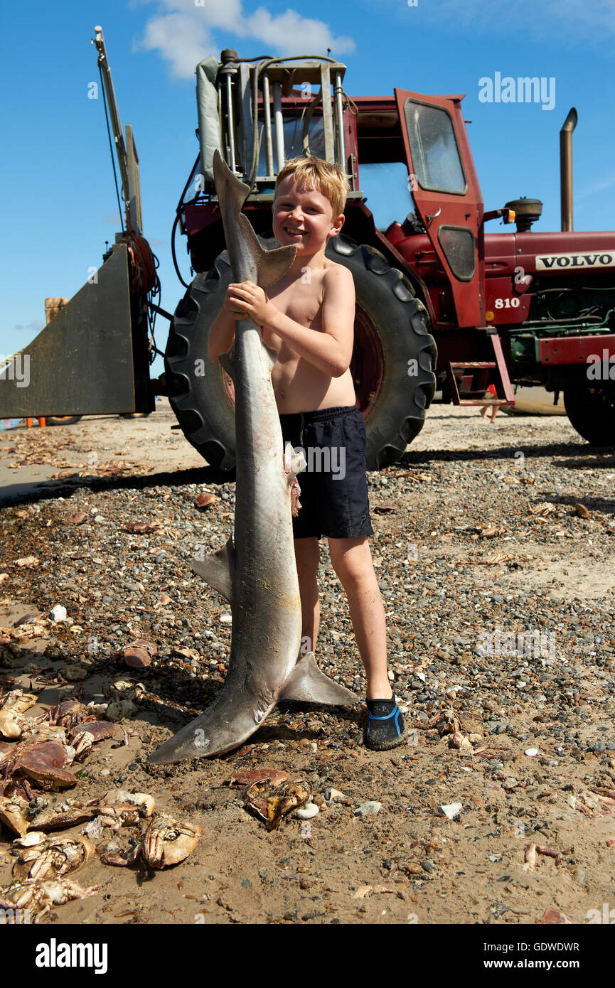 A little boy fishing and wants to catch the biggest fish. Boy on wooden dock  with a fishing net Stock Photo