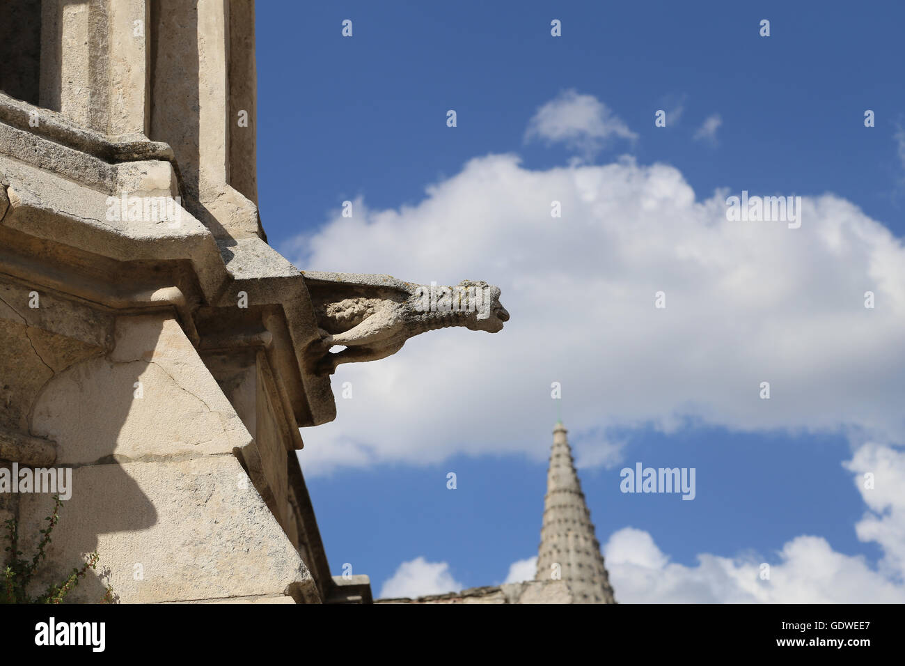 Spain. Burgos. Cathedral of Saint Mary. Gargoyle. 13th century. Gothic. Stock Photo
