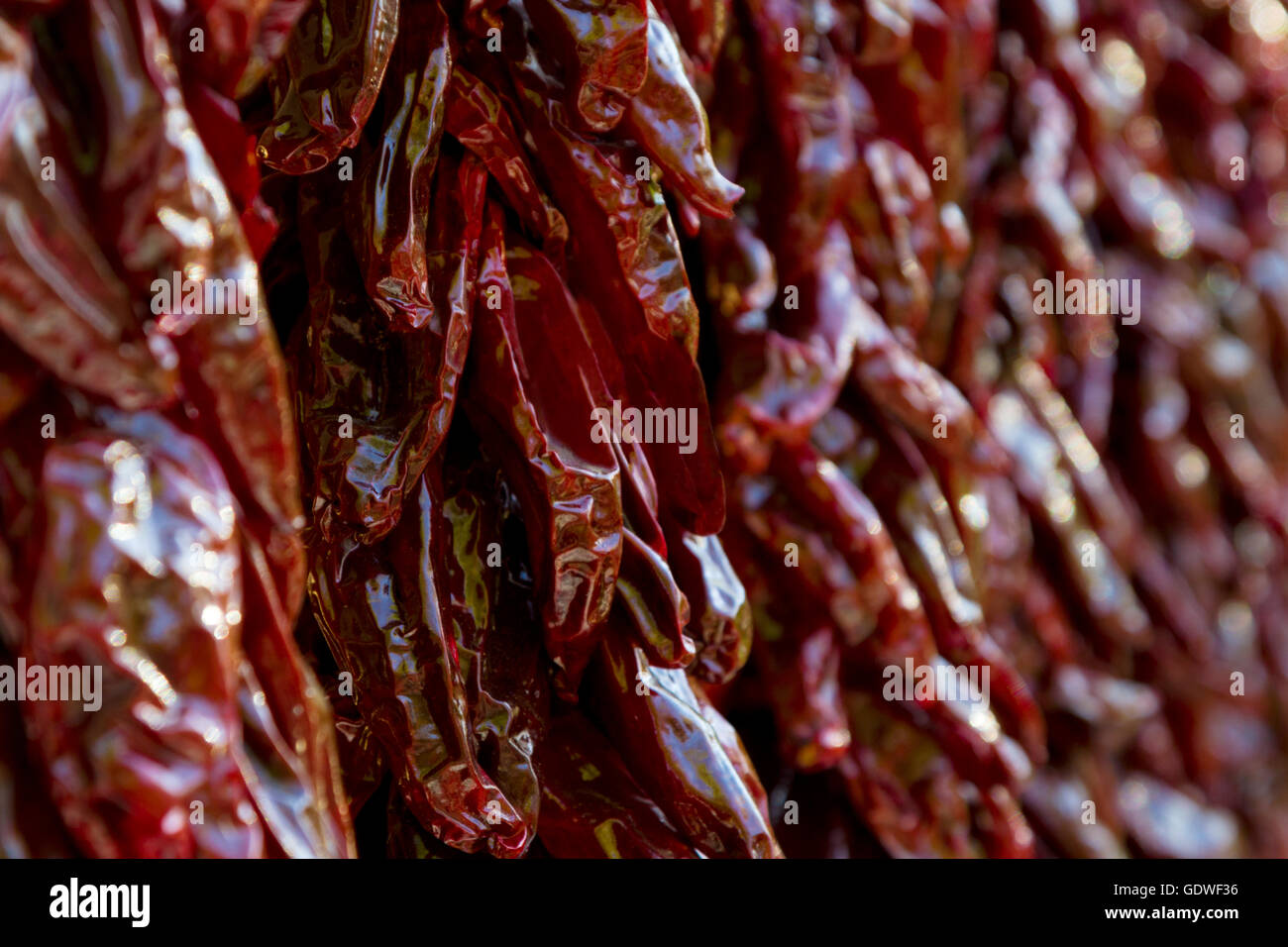 Dark red chili peppers on dried strings in Santa Fe, New Mexico. Close