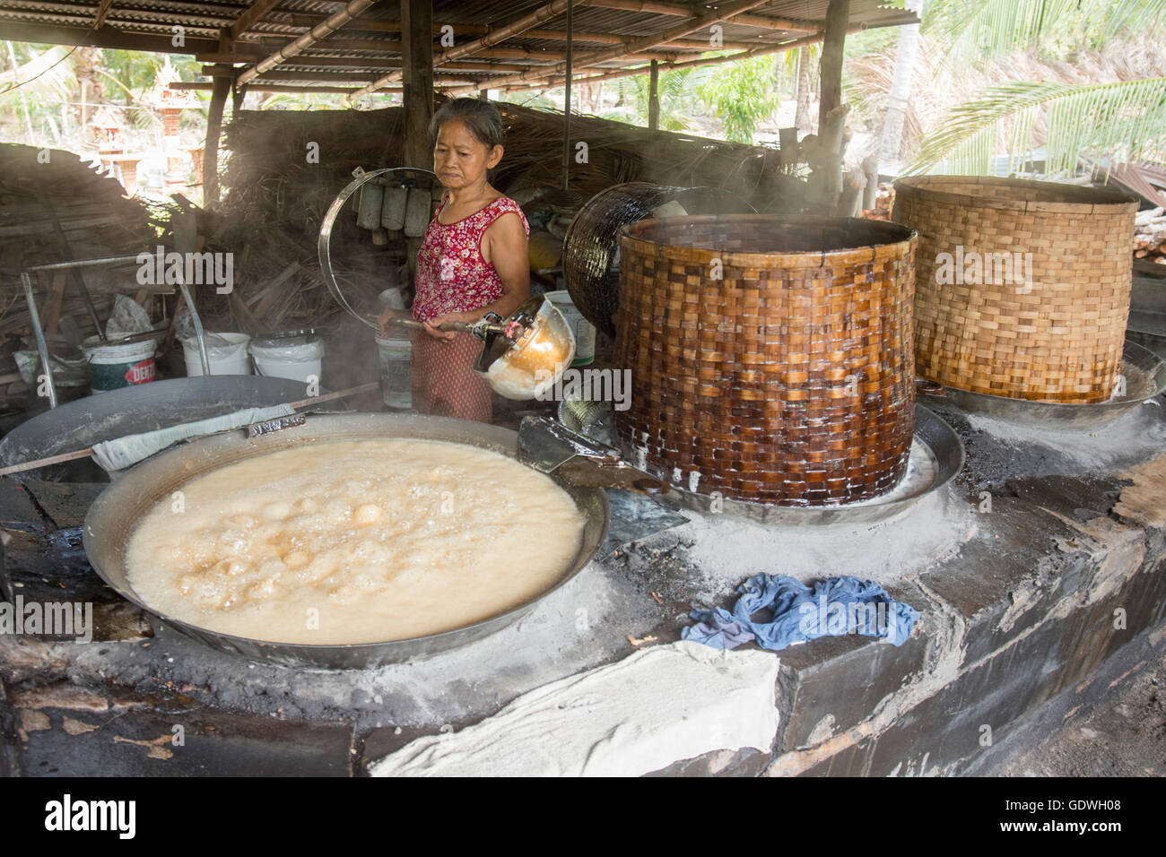 The  Palm sugar production at a Plantation in the Town of Tha Kha in the Province Samut Songkhram west of the city of Bangkok in Stock Photo
