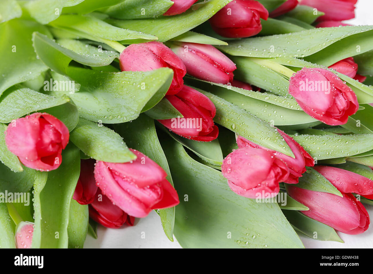 Floral bouquet tulips spring hi-res stock photography and images - Alamy