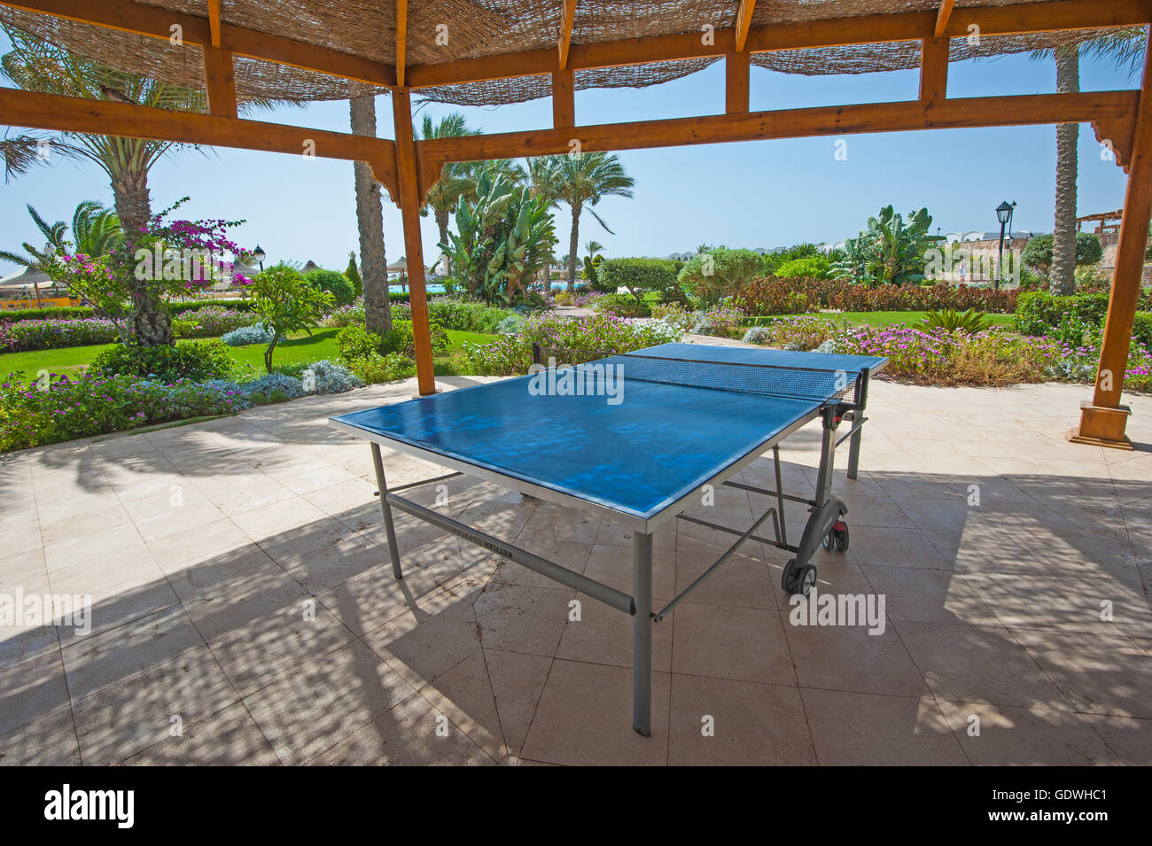 ping pong table tennis game