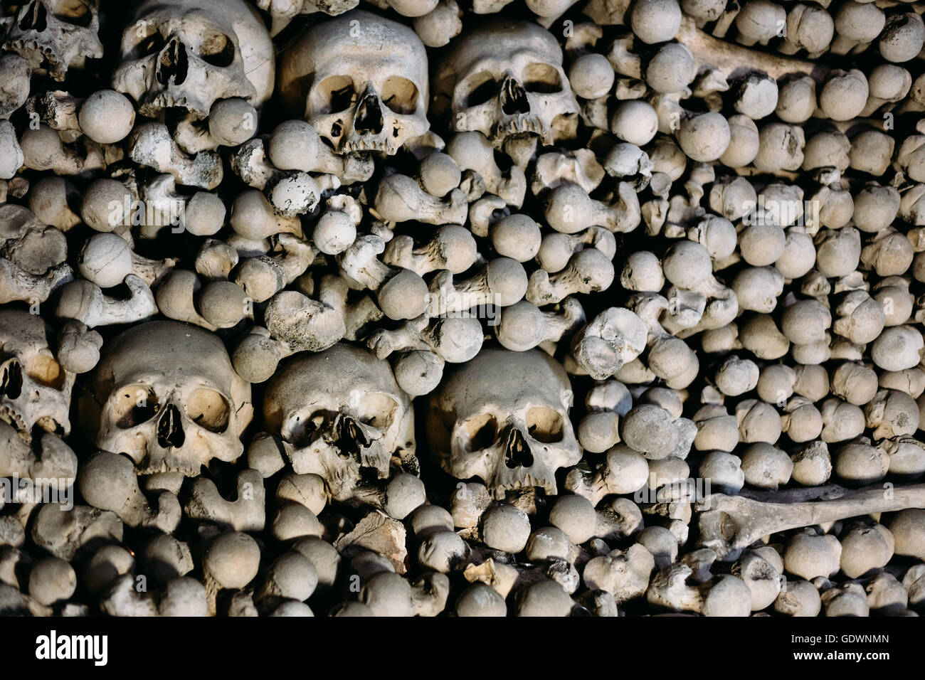 Old Human Bones And Skulls Background Stock Photo